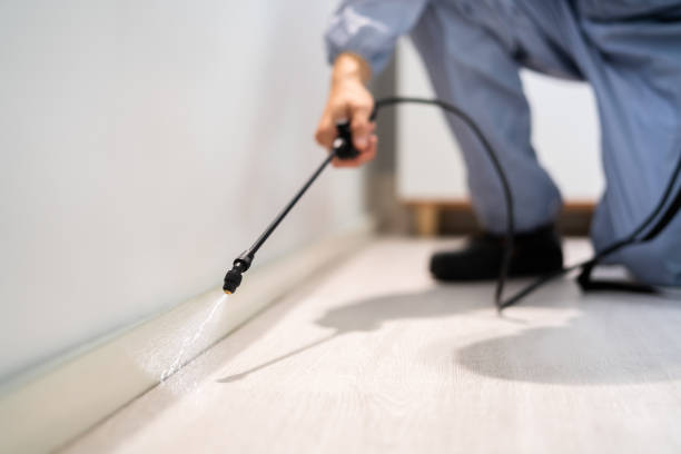 Professional exterminator conducting IPM assessment in Thompson Falls